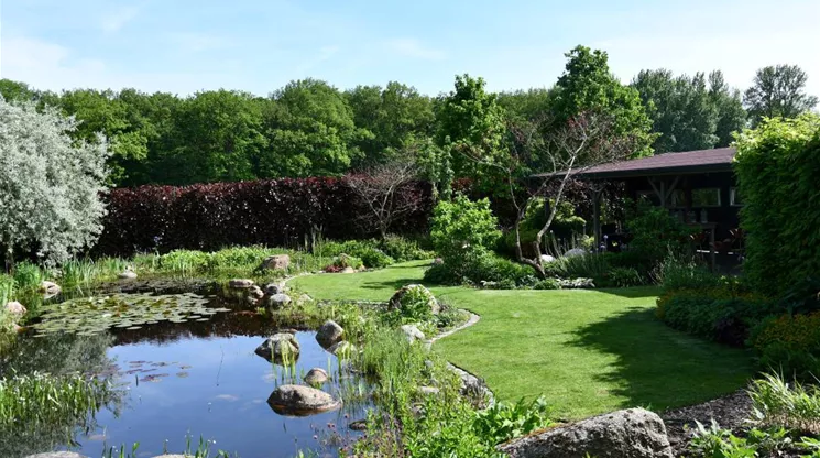 GrüneKugel_Küster_Teich.JPG