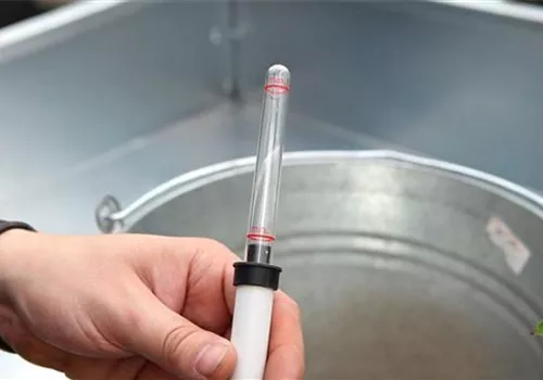 Einblatt - Einpflanzen in ein Gefäß (5).jpg