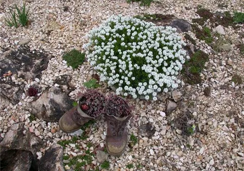 GS616219.jpg