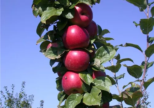 GS614314.jpg
