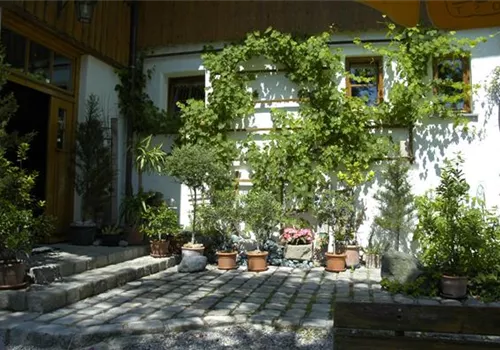 GS619901.jpg